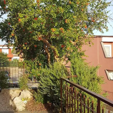 Il Melograno Albano Laziale